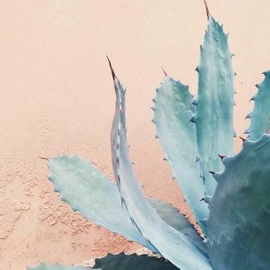 My Style and ISO List!